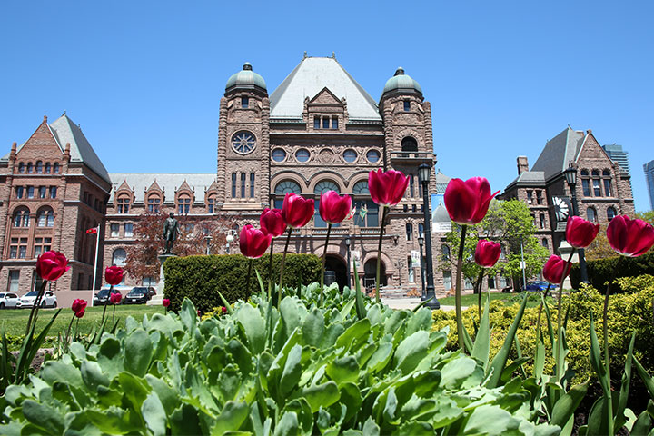 The Legislative building sits behind a group of pink flowers.