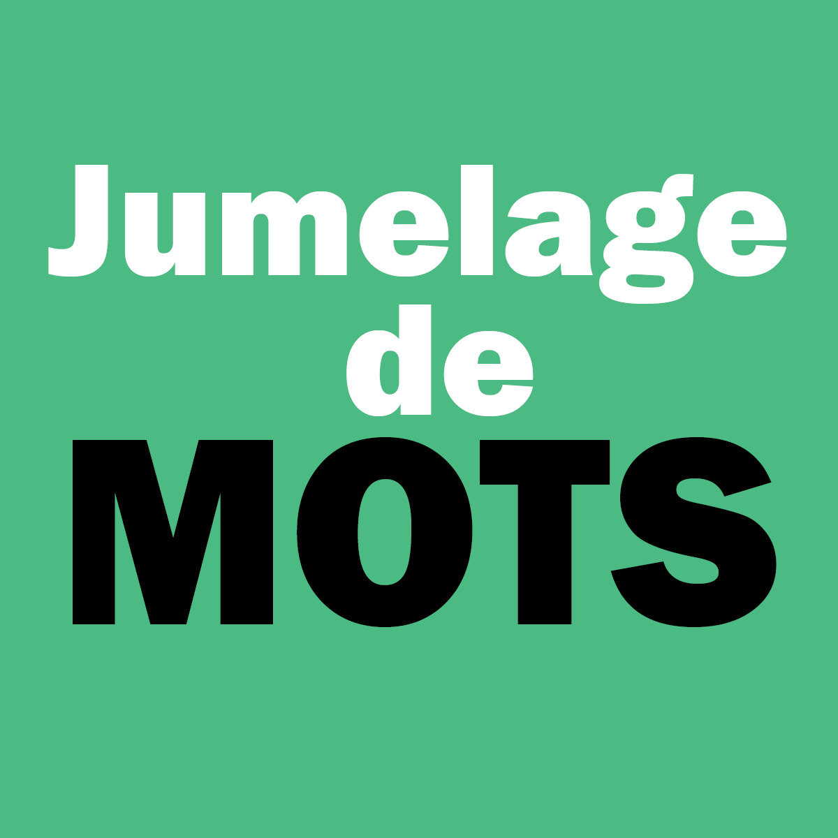 Logo jumelage de mots